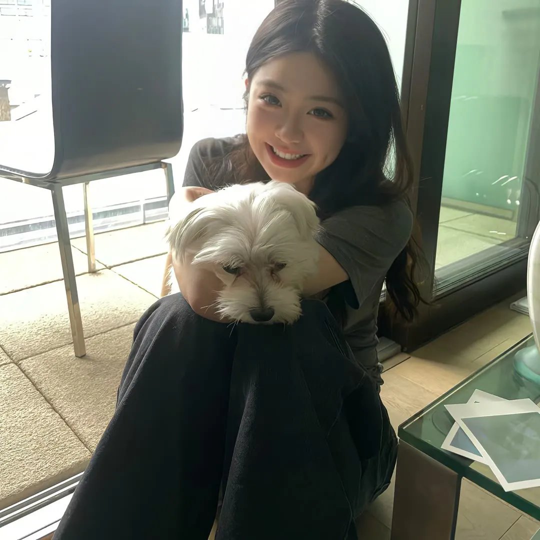 傲骨贤妻第七季