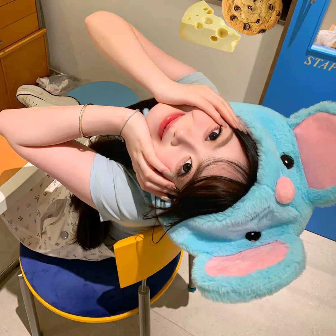 虎尾兰之梦